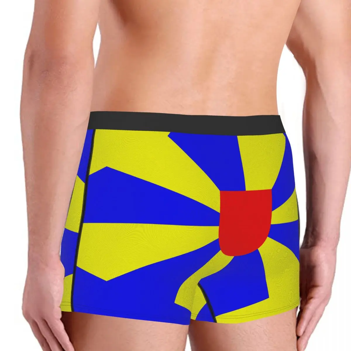 Flag Of West Flanders Men's Boxer Briefs Belgian Nerd Men's boxer leggings