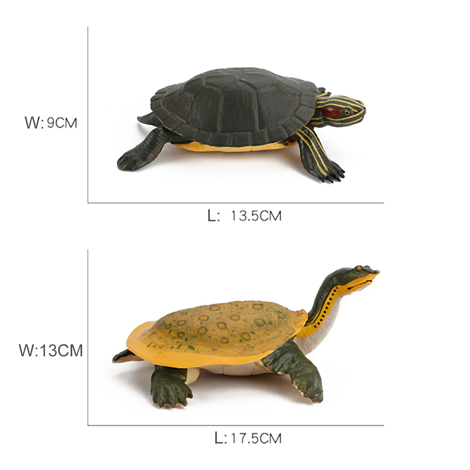 

Animal Simulation Tortoise Desktop Ornament Kid Present Educational Model Doll Early Education Toys For Kids Birthday Gift