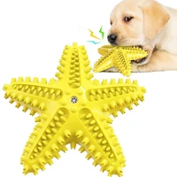 pet products fun starfish noise toy dog bath water floating from hi funny dog molars dog toothbrush