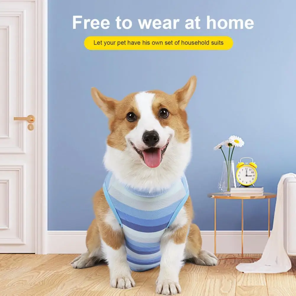 

Easy-wearing Universal Pet Abdominal Wound Protector Suit Pet Accessories