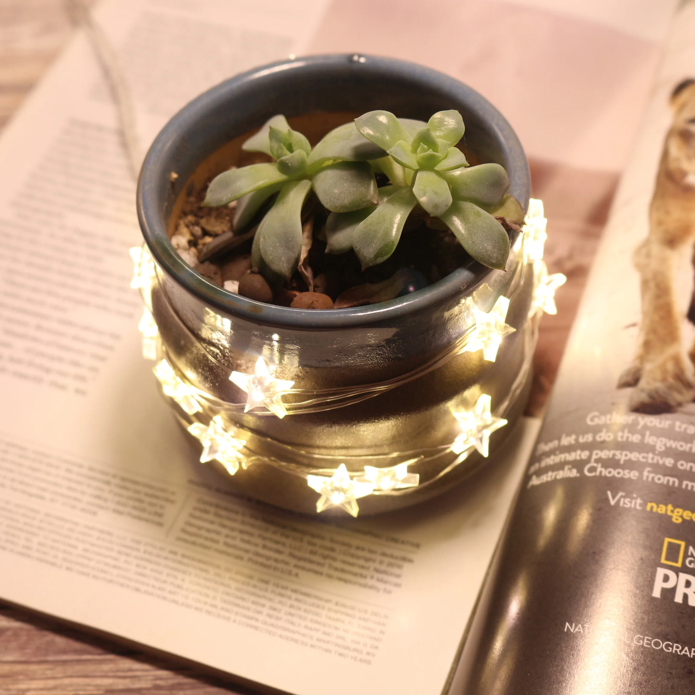 Светодиодный светильник в форме звезды с батарейным блоком 2 м 20 светодиодов