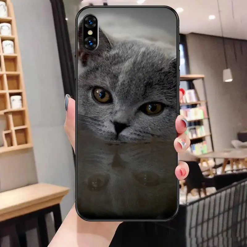 

British shorthair cat Phone Case for iphone etui 11 12 pro se 20 max xr xs x 7 8 6s plus mini Fundas Coque cover