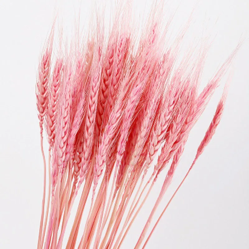 Растения Моделирование сушеные цветы Букеты украшение для дома Декор гостиной DIY