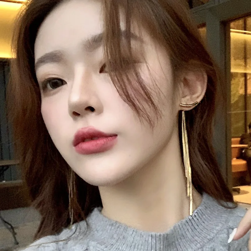 

Silver Pin Earrings European And American Ins Atmosphere Sexy Temperament Long Tassel Female Jewelry Accessories Wholesale