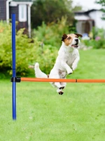 dog agility equipment dog obstacle course for training and interactive play toy pet exercise training jumping pole sports toy