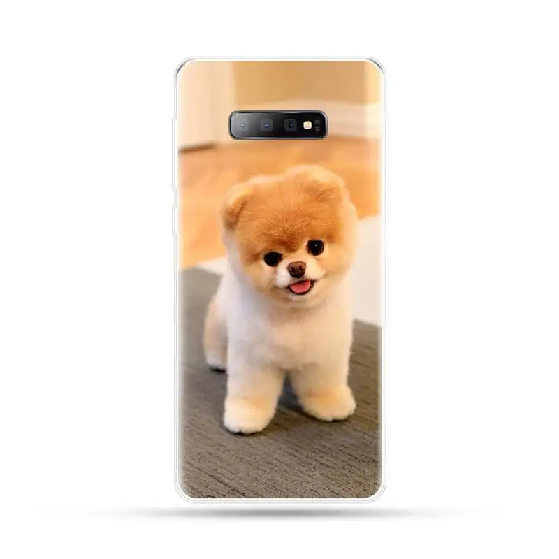 

Pomeranian Lovely cute Cute coque cover Phone Case For Samsung Galaxy S5 S7 S8 S9 S10 S10e S20 edge plus lite
