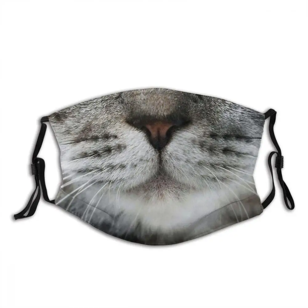 

Funny Cute Tabby Face Printed Mouth Covering Washable Reusable Fabric Face Mask with Filter