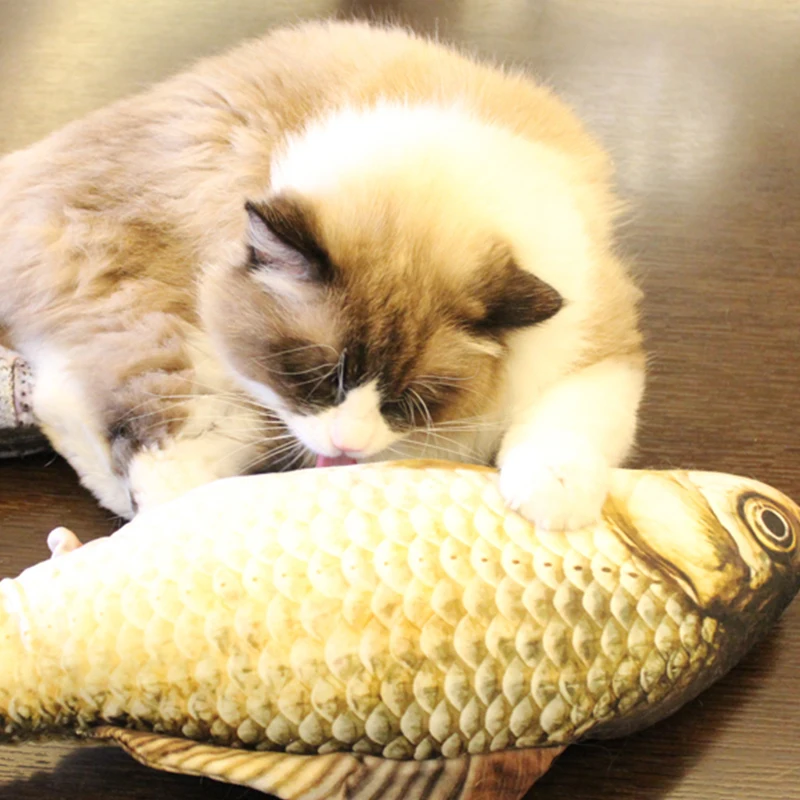 Мягкая Плюшевая креативная 3d игрушка для животных в форме карпа кошки подарки