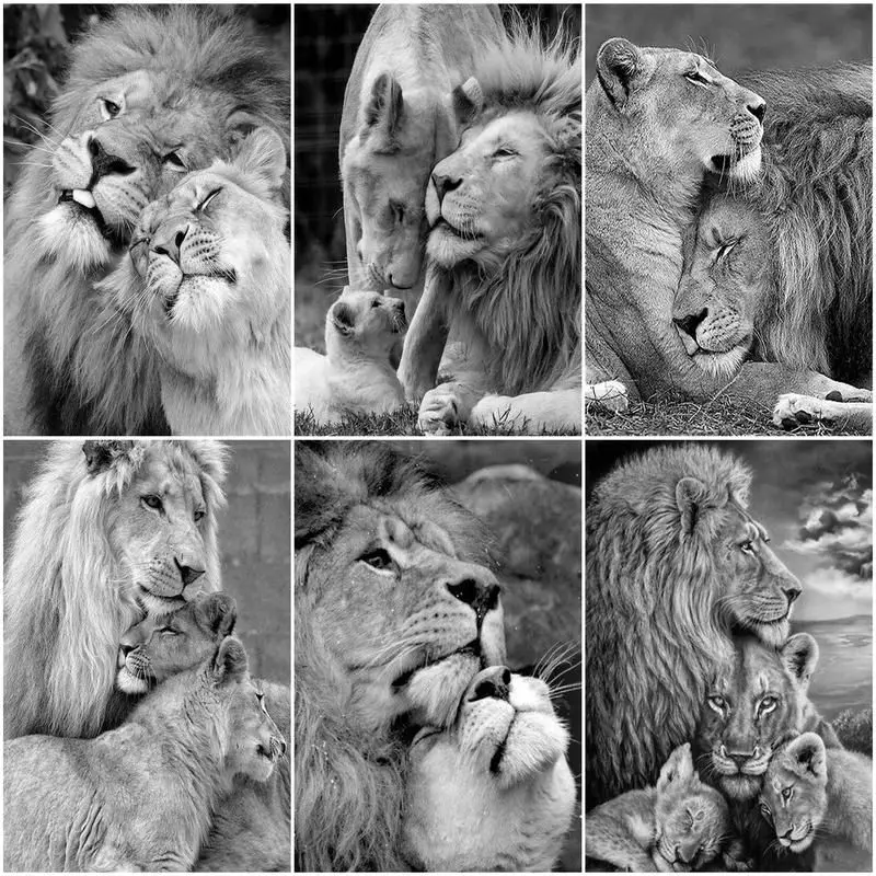 

CHENISTORY Oil painting By Numbers black and white lion Animals DIY Oil Paint By Numbers Handpaint Drawing Canvas Home Gift