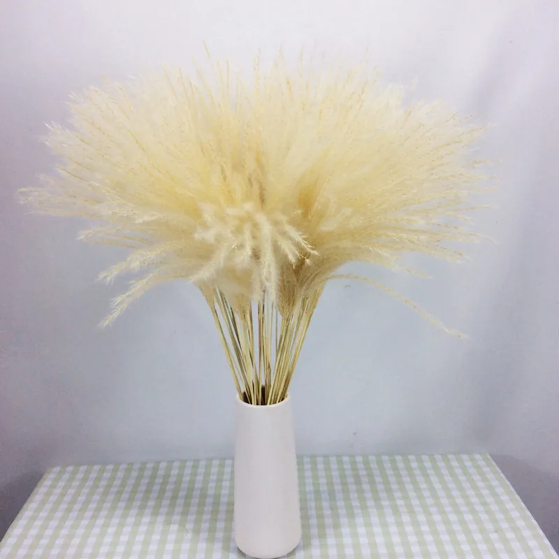 

Natural Dried Pampas Grass Wedding Flower Bunch Easter Home Decoration Pink White Color Eternal Flower Bouquet