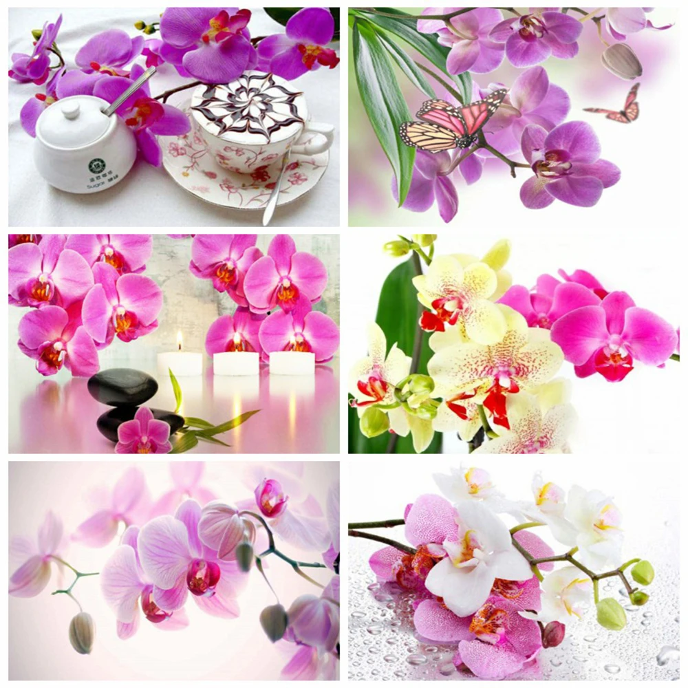 

EverShine 5D алмазная вышивка «сделай сам», Орхидея, вышивка крестиком, алмазная живопись, цветок, декор для фотографий, мозаика, наборы ручной ра...