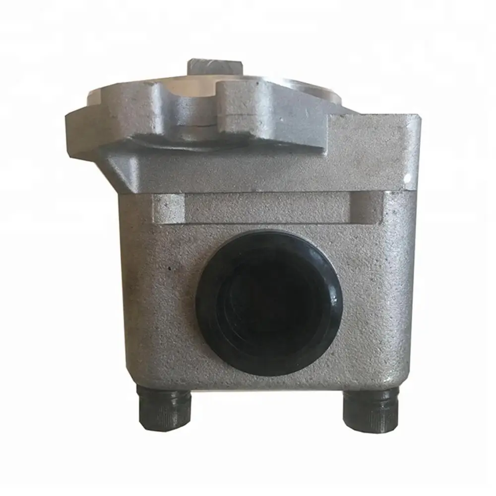 

Oil Charge Pumps of SBS10 Small Gear Pumps for Repairing The CAT 320 Excavator Hydraulic Parts