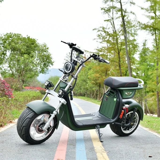 EU Warehouse Electric Motorcycle Best Price Flexibility Citycoco Scooter Without EEC/COC Cerficate 2000W 20ah |
