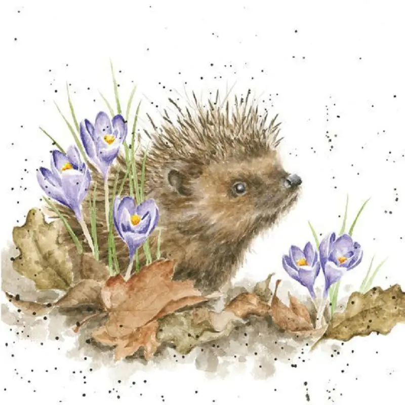 Алмазная 5d Вышивка сделай сам с изображением ежика абстрактная картина цветами