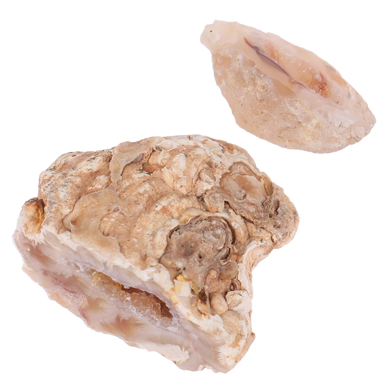 

1Pcs Natural Agate Geode Crystals Stones Craft Collection Pendant Jewelry Making