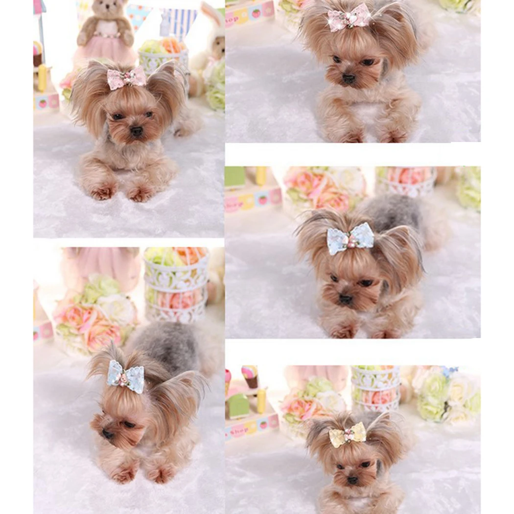 

Small Dogs Bows Hair For Pets Accessories Supplies Pet Hair Bow Rhinestone Embroidery Lace Pet Kitty Hair Clip Dog Poil Bow Clip