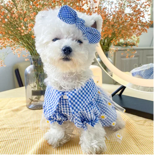 

Cute Daisy Skirt Pet Dog Clothes Fashion Dress Clothing Dogs Super Small Costume Cotton Chihuahua Summer Yollow Girl Mascotas