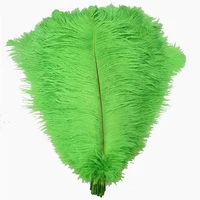 50pcslot apple green ostrich feathers for crafts 15 70cm ostrich feather decor wedding feathers ostrich decoration accessories