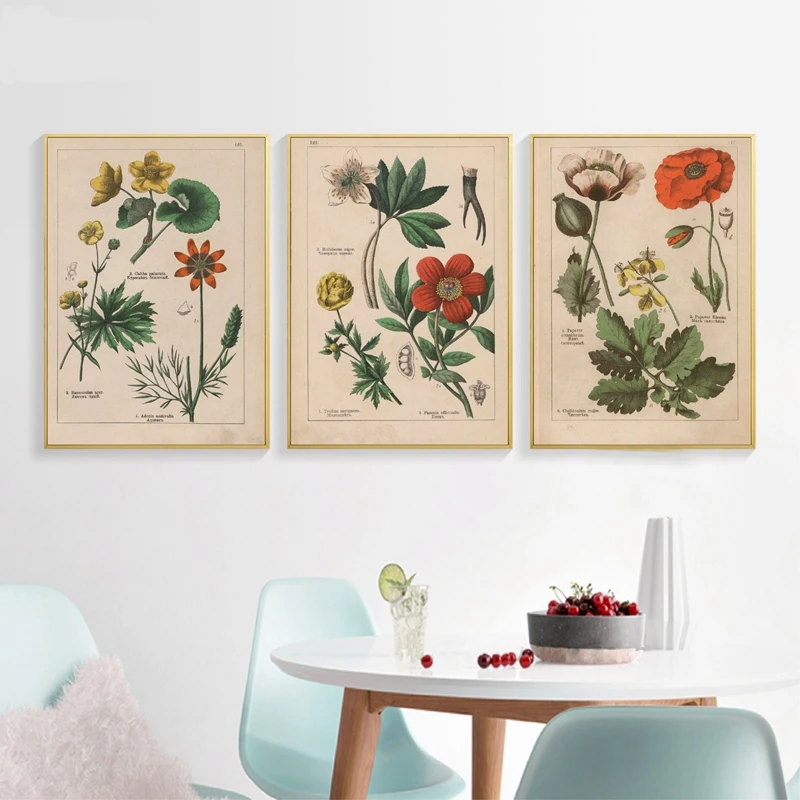 Botanical коллекция винтажные плакаты и принты травы 1898s русский язык стены искусства картины холст живопись Домашний Декор стены