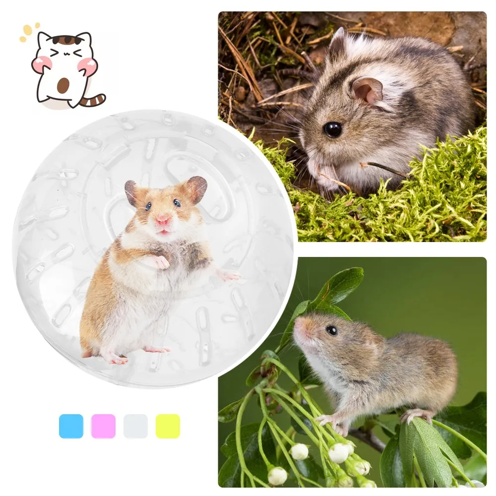 Мяч для хомяка крыс игрушки портативные забавные мячи упражнений домашних