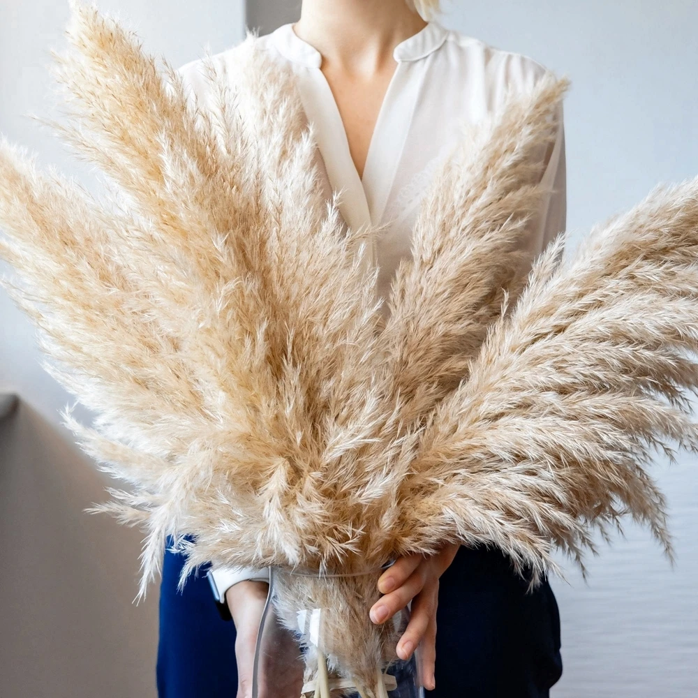 

80cm 120cm Fluffy Large Pampas Grass Dried Flower Natural Reeds Wedding Shop Decoration Ornament Boho Vintage Home Decor Bouquet