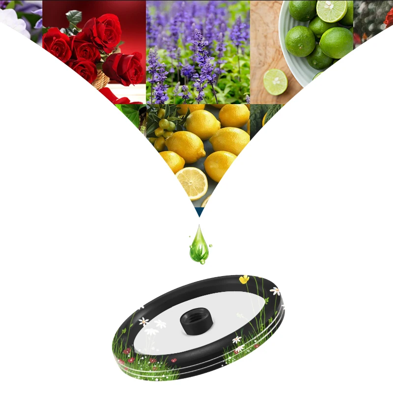 Освежитель для салона автомобиля ароматерапия ароматический декор Land Rover Range Evoque