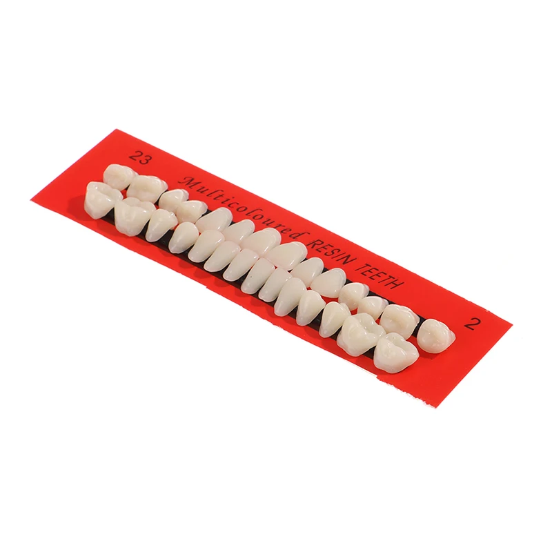 

10sets Pro Dental Material Plastic Teeth Teaching Model Dedicated Teeth Dental Material Useful Teeth Care Tool A2 Type