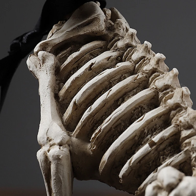 Северная Европа с животными в стиле ретро декор кошка череп голова Скелет