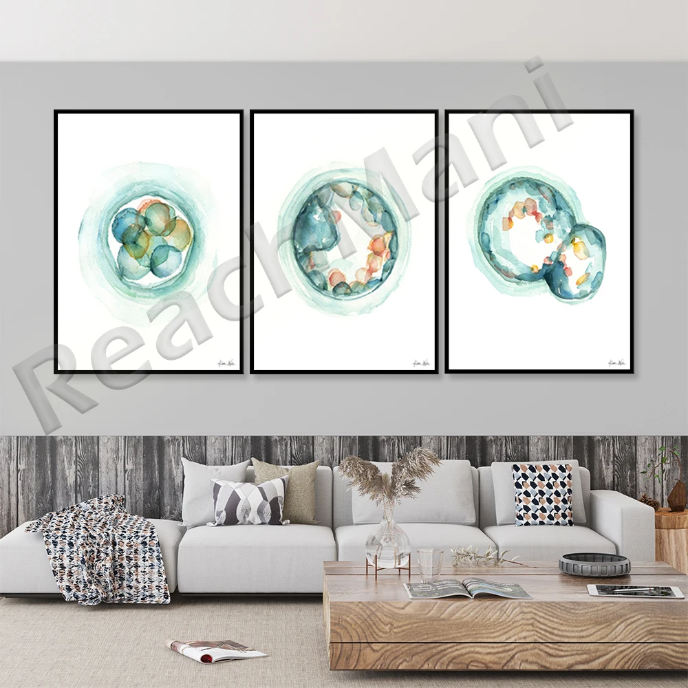 

Embryo Watercolor Print - Fertility and IVF Art Prints - OBGYN Doctor Office Art - Anatomy Art