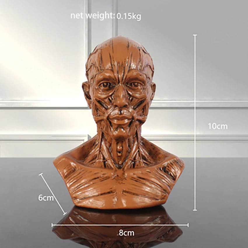 

Модель головы для резьбы по мышцам из смолы