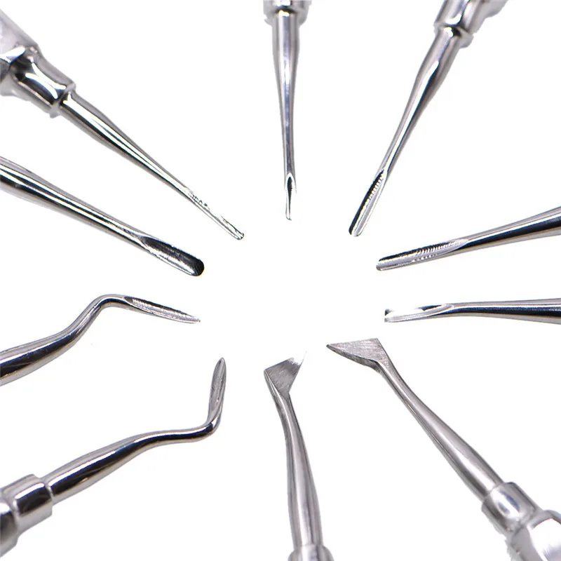 

10pcs Dental Elevator Teeth Extraction Tooth Extracting Forceps Stainless Steel Curved Root Lift Elevator Dentist Surgical Tool