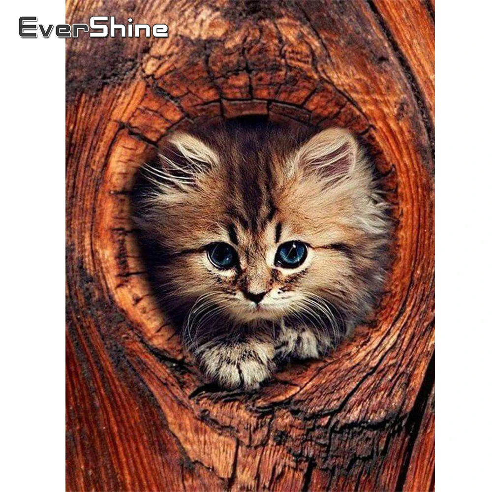 

Evershine Алмазная вышивка кошка вышивка крестиком полная площадь Круглый Алмазная картина животные мозаика картина стразы подарок ручной работы