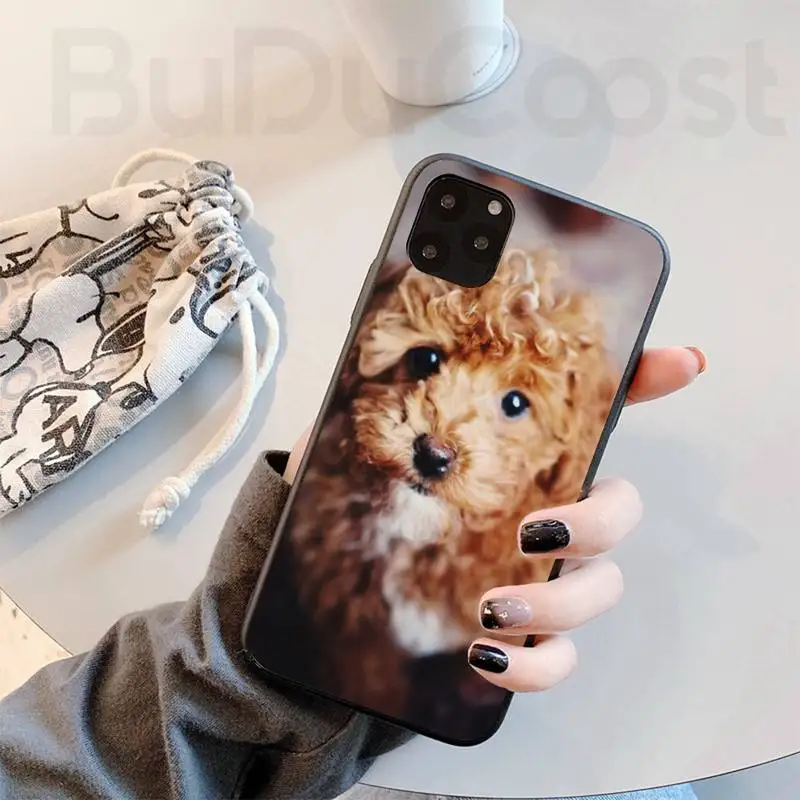 

Teddy Dog Shell Phone Case For Iphone 11 Pro 11 Pro Max X XR XS MAX 7 8 Plus 6s Plus 5s 2020 Se Cover
