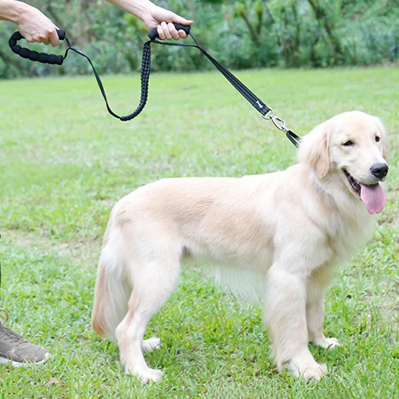 Elastic Dog Leash Reflective Stripe Long Pet Rope Belt Nylon Lead Running Durable Products | Дом и сад