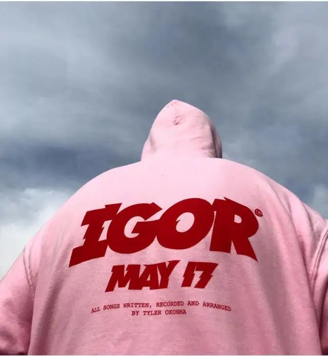 Толстовка мужская с капюшоном худи принтом игр цветов для гольфа флис Тайлер