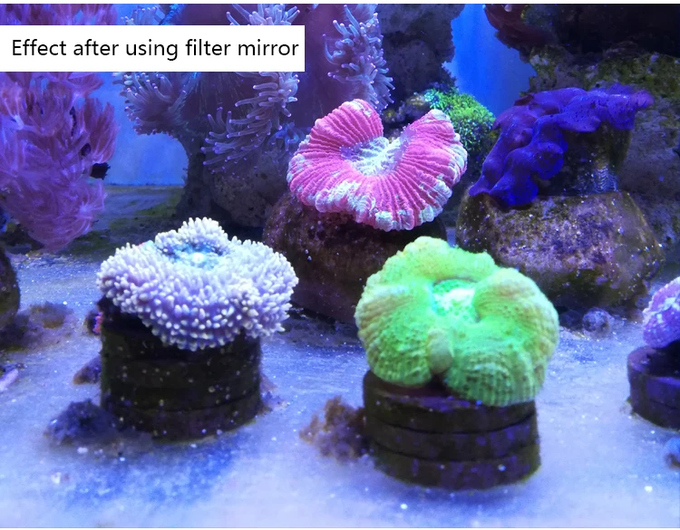 Coral коралловые цилиндрические линзы для фотоаппарата морской цилиндрический фильтр три объектива с макрофильтр аквариум синий свет