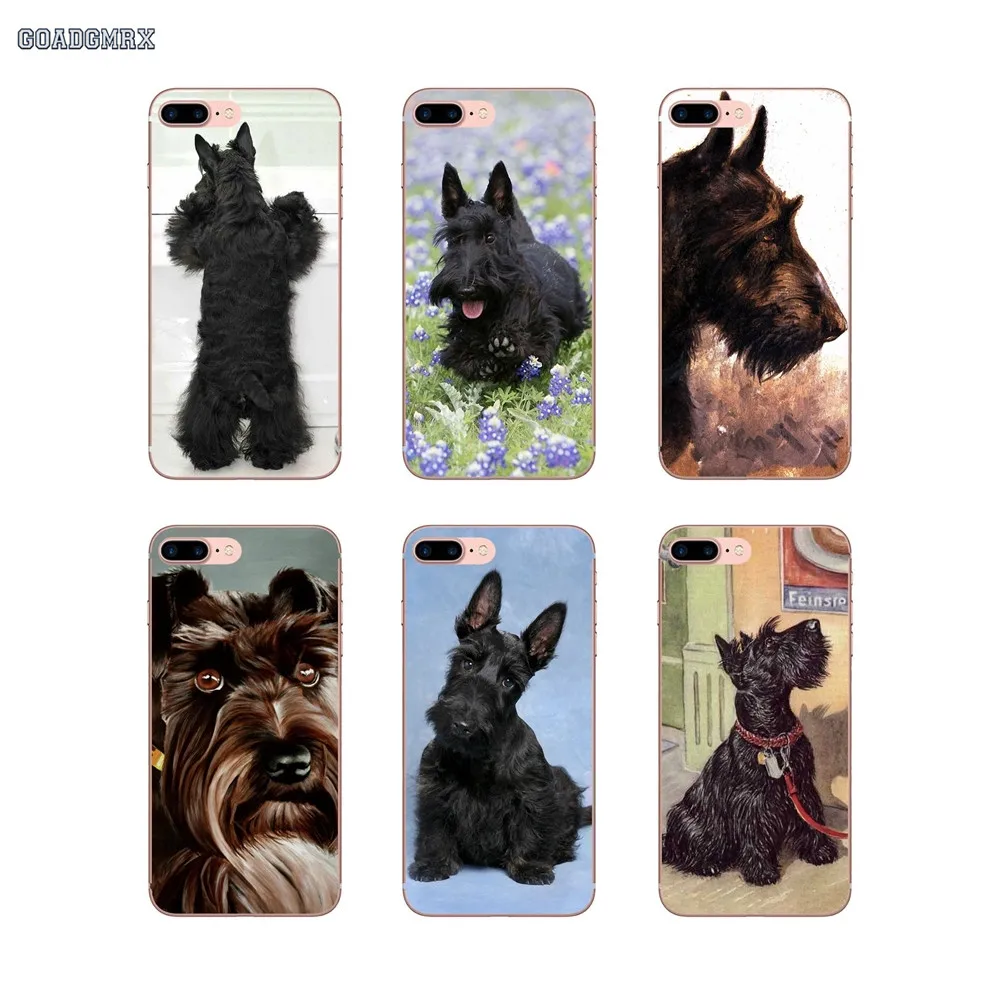Силиконовый чехол для телефона шотландский терьер черный щенок huawei P Smart 2019 G7 G8 P7 P8