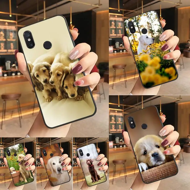 

Labrador Puppies cute Dog Phone Case Phone Case For Redmi K20 Note 5 7 7a 6 8 Pro note 8T 9 Xiaomi Mi 8 9 SE