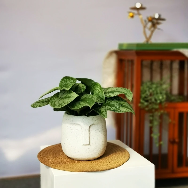 Большой садовый цветочный горшок формы для бетона настольные украшения Ваза