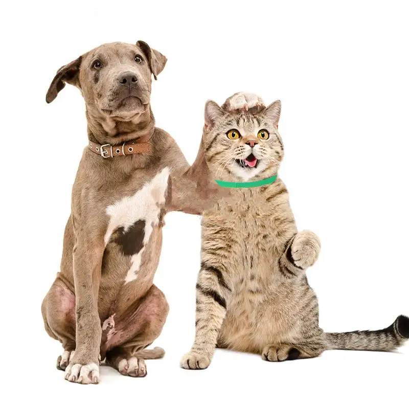 

15PCS Newborn Pet ID Collars Multi Color Pet Identification Collar Double Faced Pile Pet ID Collars for Pet Kitten Puppy