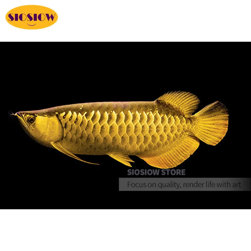 5D алмазная живопись сделай сам стразы кристалл аравана рыба животное полный