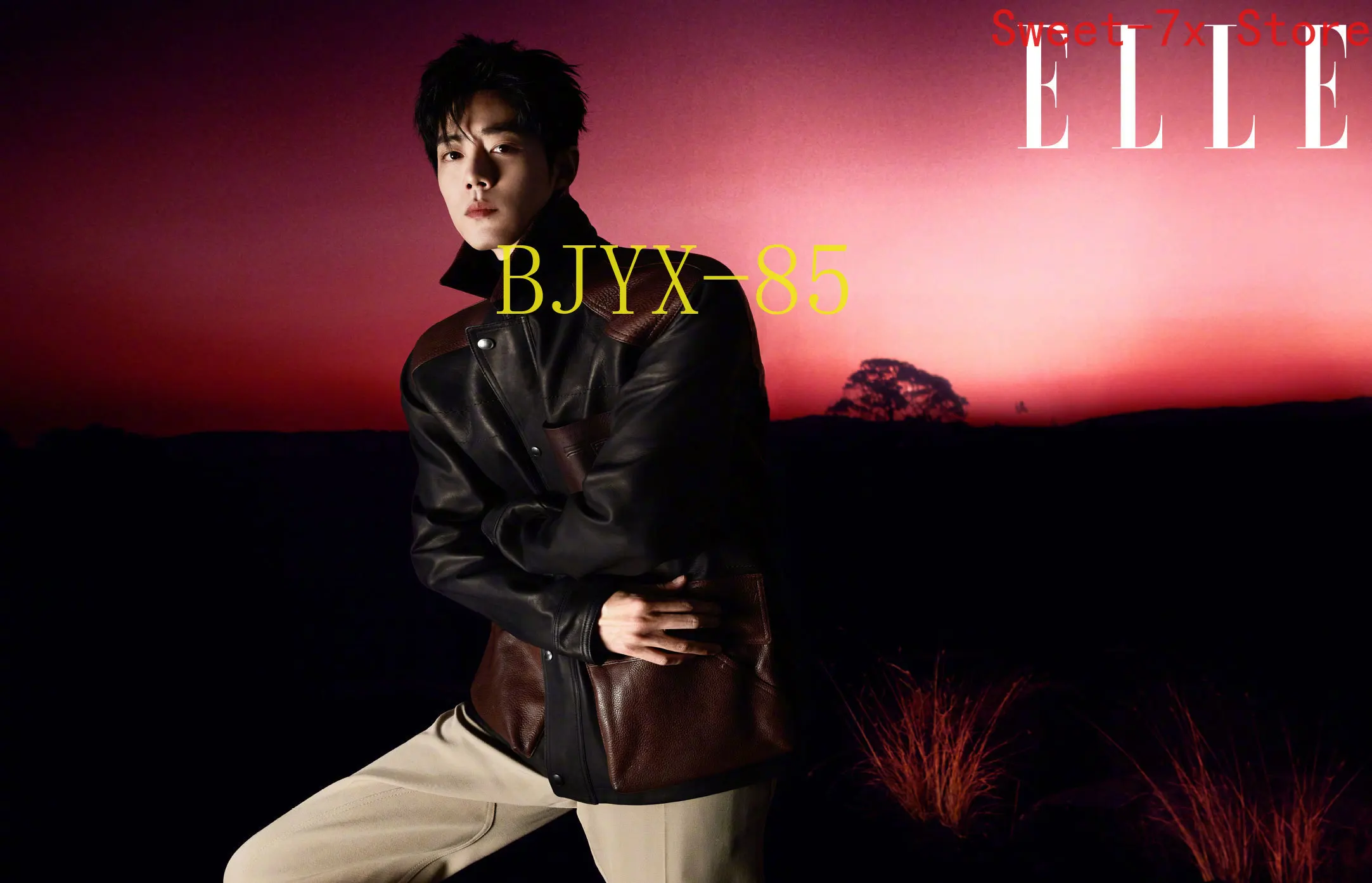 Китайская ежегодная Картина на холсте Xiao Zhan ELLE плакаты и принты в скандинавском