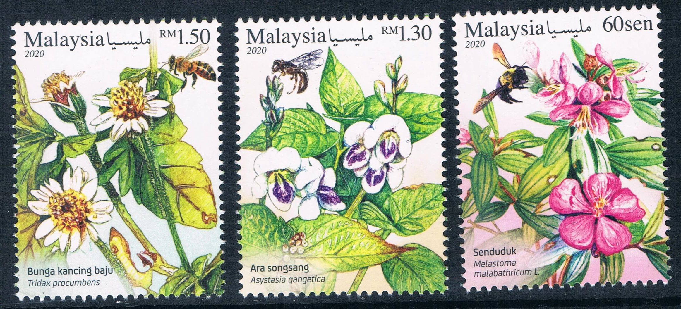 

3 шт./компл. новая почтовая марка Малайзии 2020, штампы с цветами и Пчелой MNH