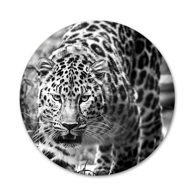 Животное Снежный Леопард значок для одежды рюкзак украшение подарок | Дом и сад