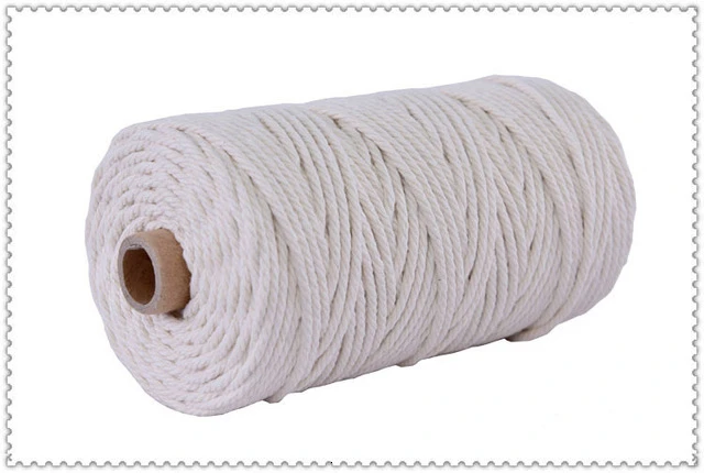 Beige 22 цвета, 100 м, 109 ярдов, цветная, цветная, ручная работа, длинный, макраме, хлопок, скрученный шнур, 3 мм, ручная работа, плетеная проволока - Цвет: Beige