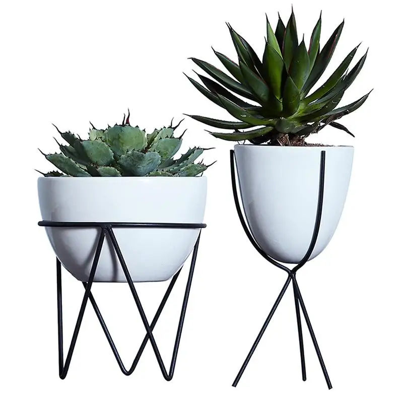 Мясистые растения для цветов горшок железный гидропонного искусства настольный