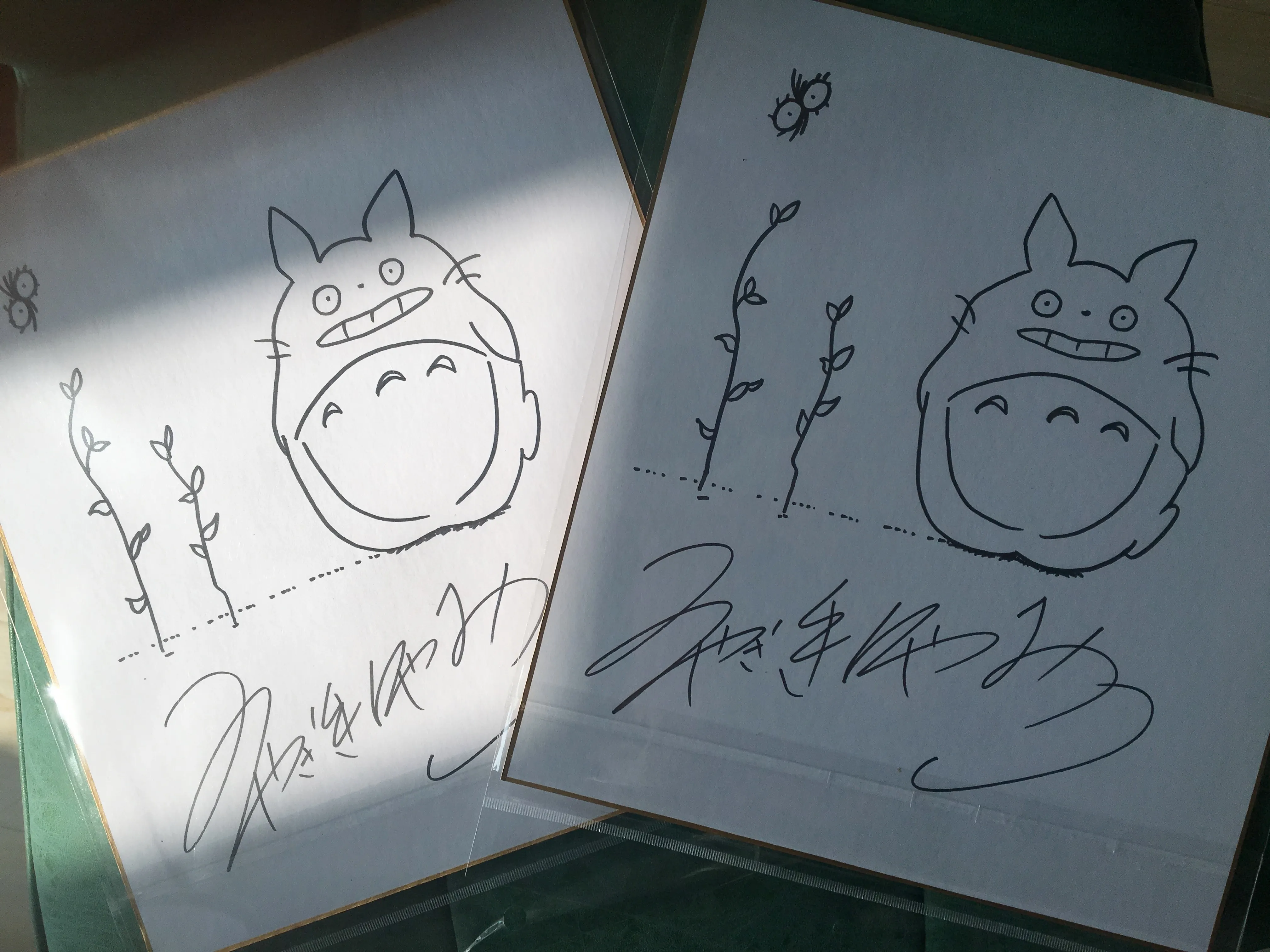 Ручная нарисованная Miyazaki Hayao autographed Shikishi доска объявлений Tonari no Totoro rare 7910|Открытки