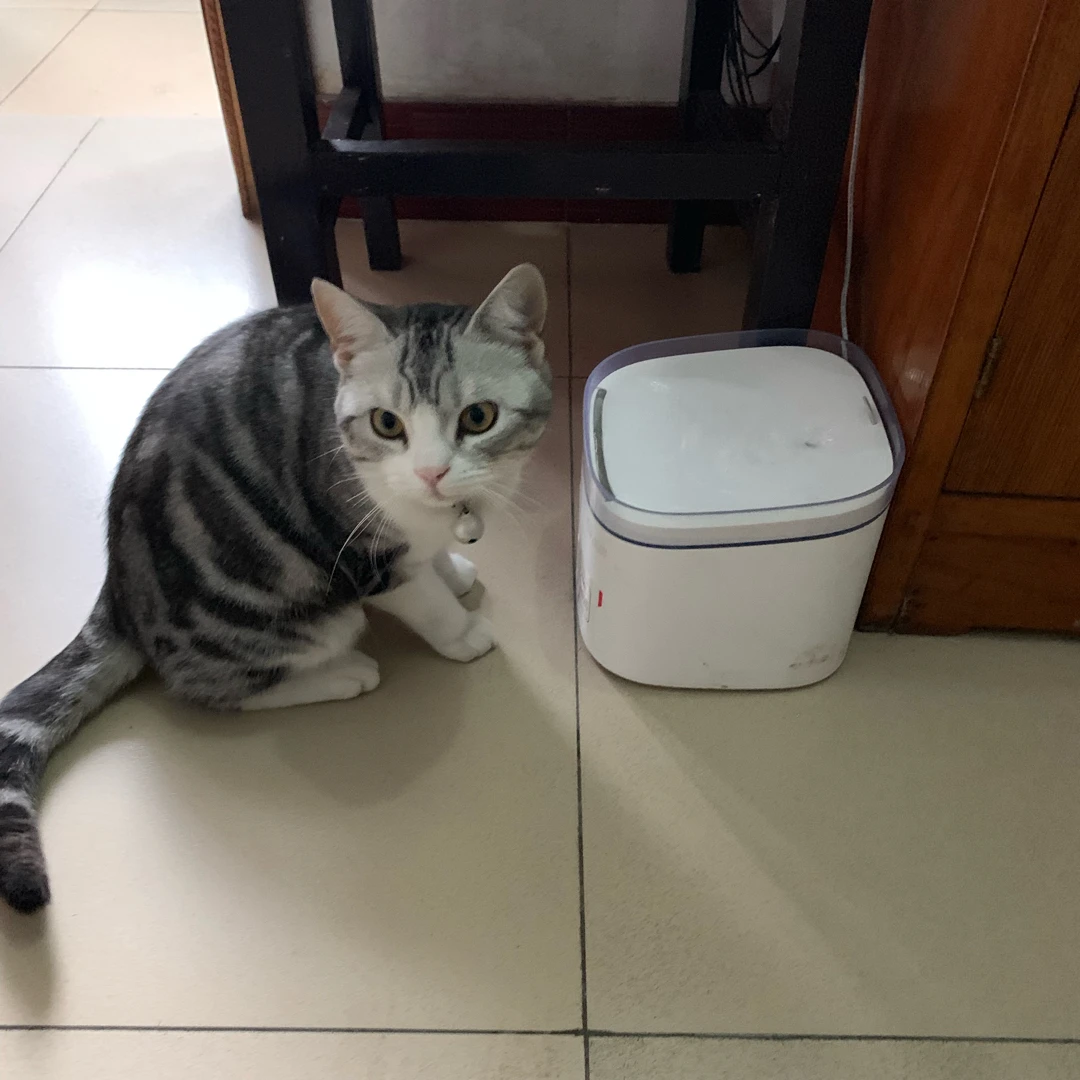 Поилка электрическая для домашних животных поилка фонтанчик с 4 фильтрами 2 л