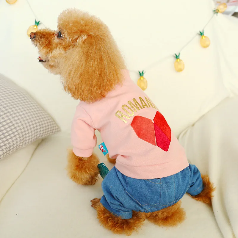 Осенний комбинезон для собак джинсовый в горошек с надписью милая собака | Дом и