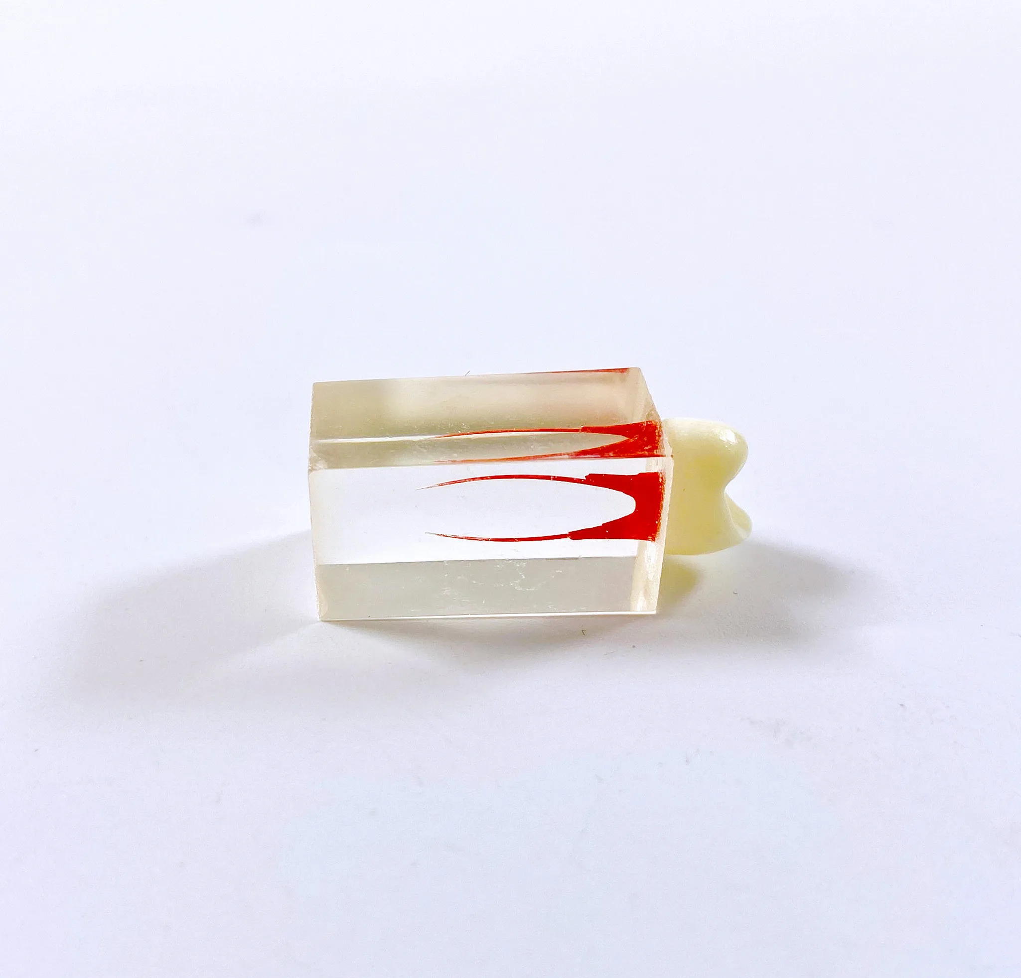 Модель для обучения стоматологии обучающий блок RCT корневой канал зубы обучение